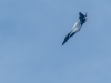Airshow_2020_01