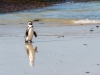 Cape_Town_04