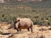 Cape_Town_09
