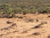 Cape_Town_10