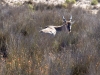 Cape_Town_12