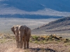 Cape_Town_13