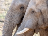 Cape_Town_14