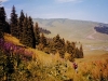 climb2000r_25