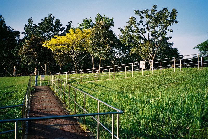 contaxt2_bedok12