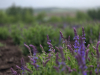 Hokkaido_2025_10