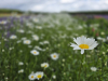 Hokkaido_2025_11