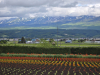 Hokkaido_2025_12