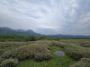 Hokkaido_2025_25