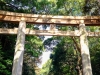 Jap_Nov18_09
