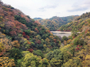 Japan22_09