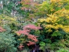 Japan_2017_05