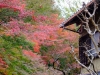 Japan_2017_06
