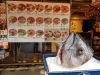 Japan_2017_32