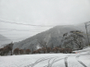 Japan2425_14