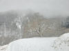 Japan2425_15