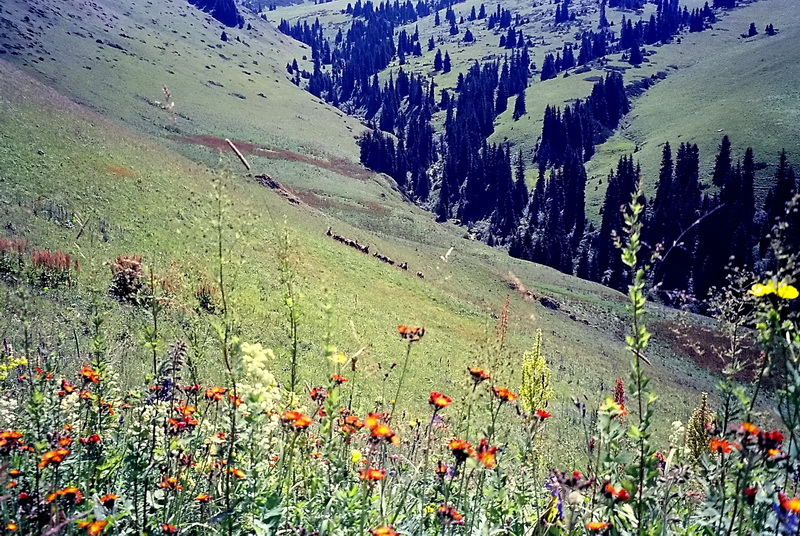 climb2000_khazak_14