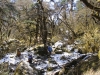 nepal_2003_22