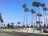 san_diego2010_01
