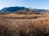 Japan_tohoku_23_07