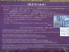 Japan_tohoku_23_13
