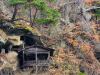 Japan_tohoku_23_27