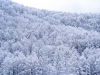 Japan_tohoku_23_33