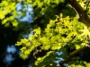 Tokyo_2019_03