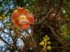 west_coast_park_02