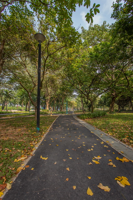 west_coast_park_01