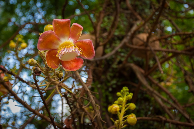 west_coast_park_02