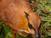 zoo_may2012_01