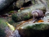zoo_may2012_03