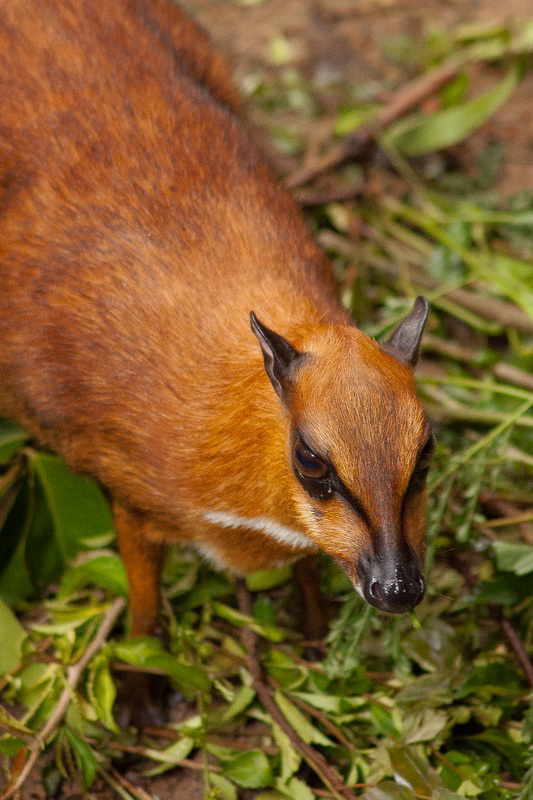zoo_may2012_01
