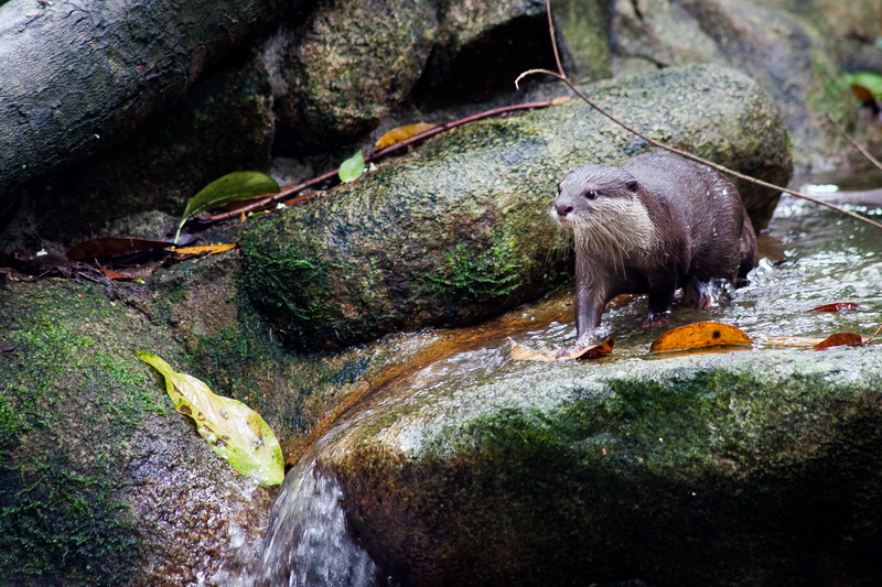 zoo_may2012_03
